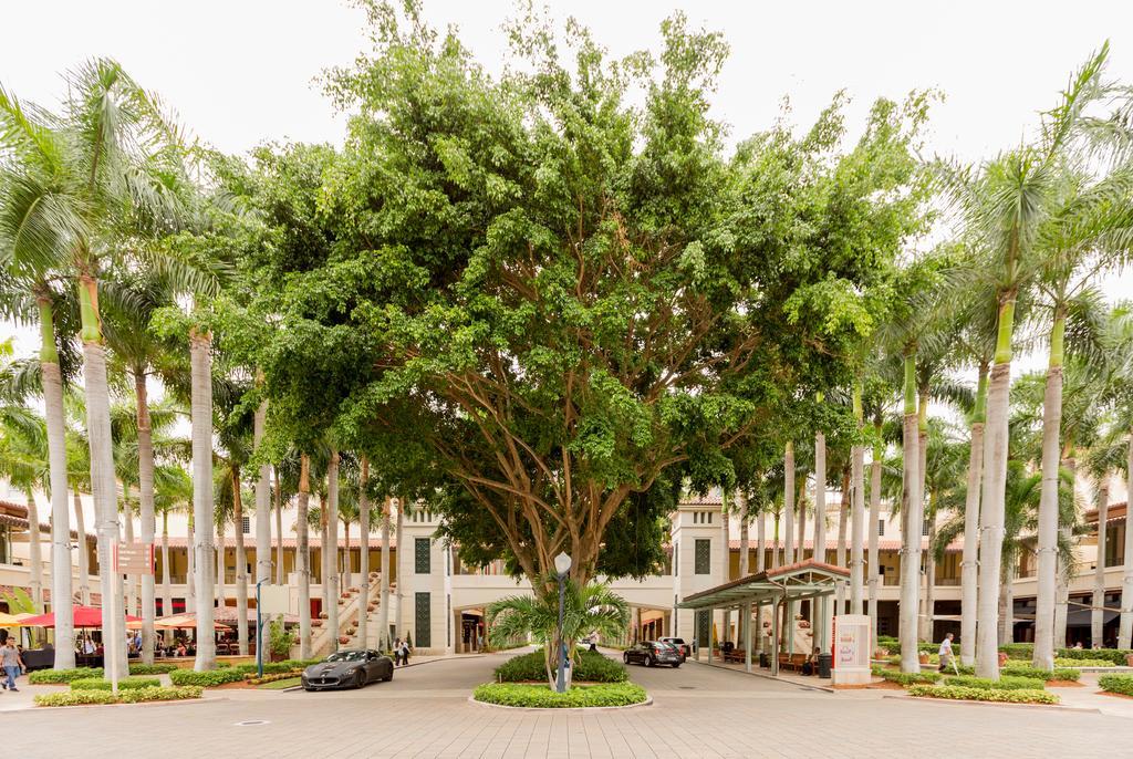 Pelicanstay In Coral Gables Miami Buitenkant foto